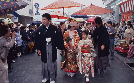 ipponsugi1