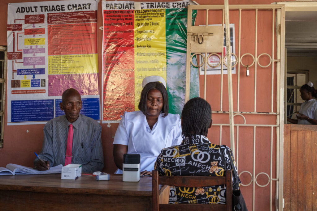 FGFJ Diet Task Force Zambia 2025 4