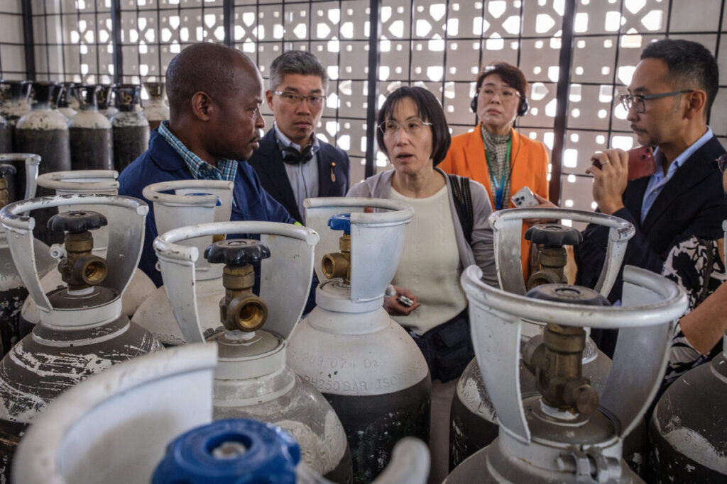 FGFJ Diet Task Force Zambia 2025 6